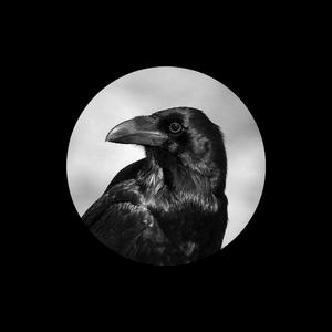 佐野由真在线电影
