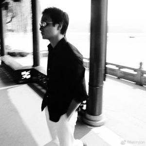 动物交配全过程马和驴高清版
