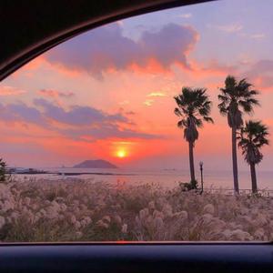 把女人的腿扒开添高潮
