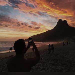 动物交配全过程马和驴高清版
