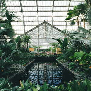 秘书呻吟H浪货趴
