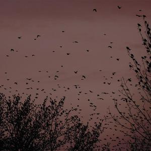 七十路の高齢熟女歌曲
