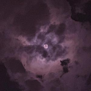 吴姐全家互换共乐阅读心得
