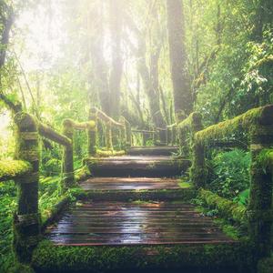 秘书呻吟H浪货趴
